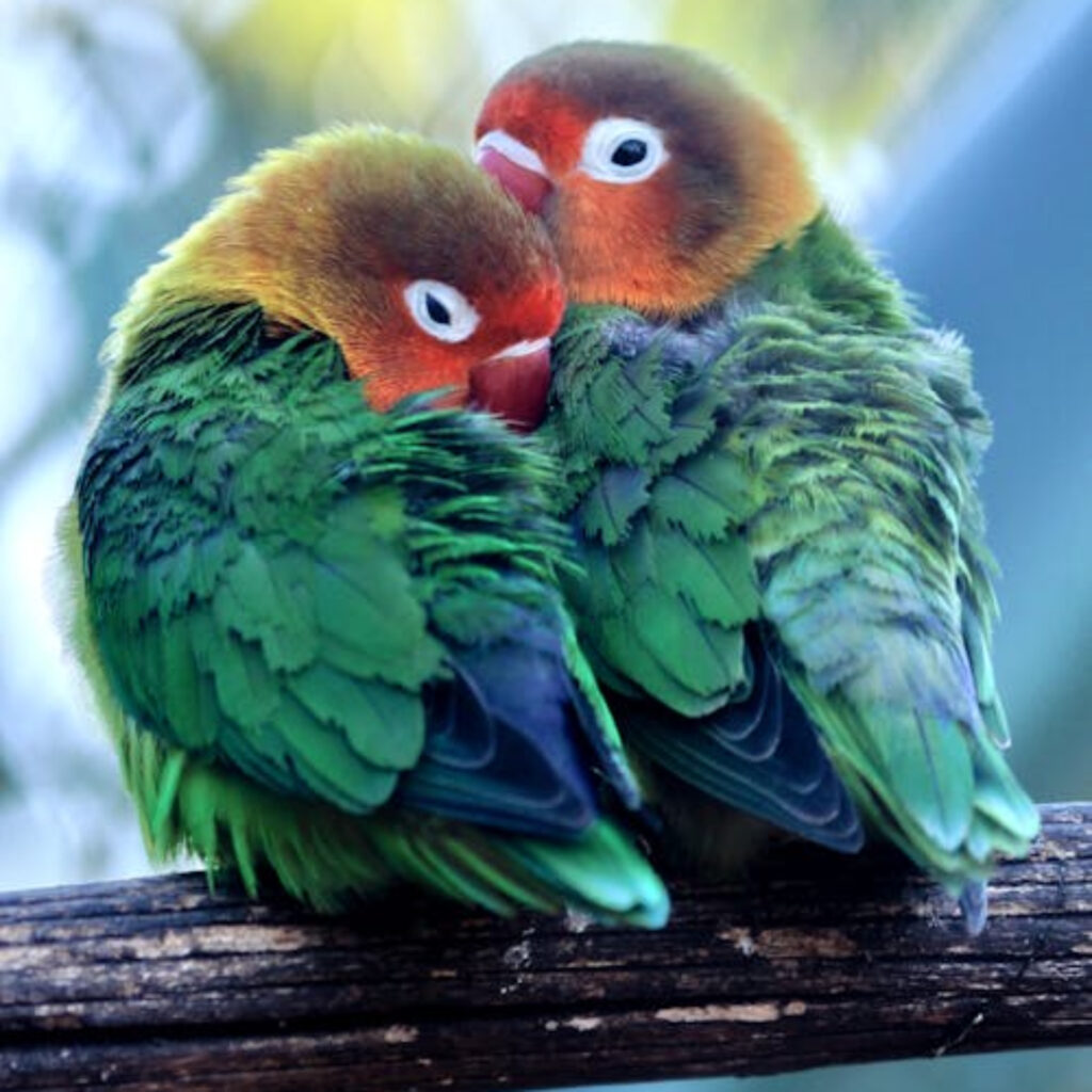 Khám Phá Thế Giới Giải Trí Tại J88Vip Vui Chơi Không Giới Hạn