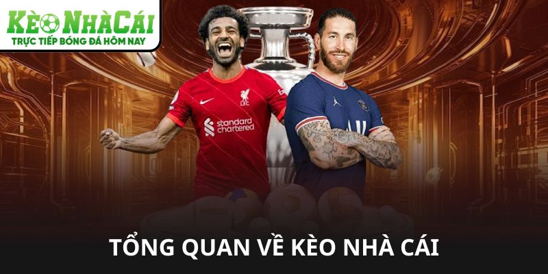 Bat Dong San La Gi – Hướng Dẫn Chọn Kèo Thắng Lợi