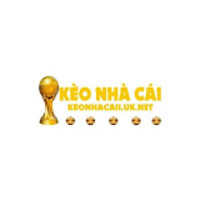 Hướng Dẫn Sử Dụng Rao Vặt Nhà Đất Hải Phòng Để Cá Cược Hiệu Quả